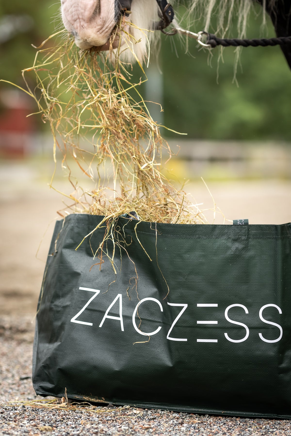 Signature Hay Bag