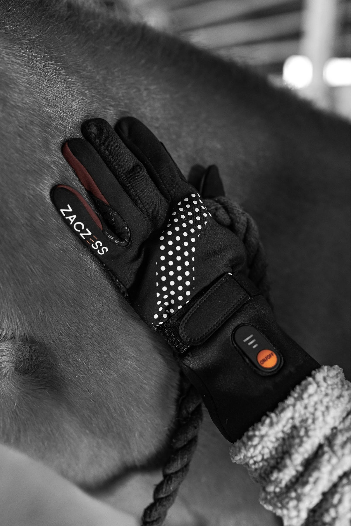 Heated Winter Glove