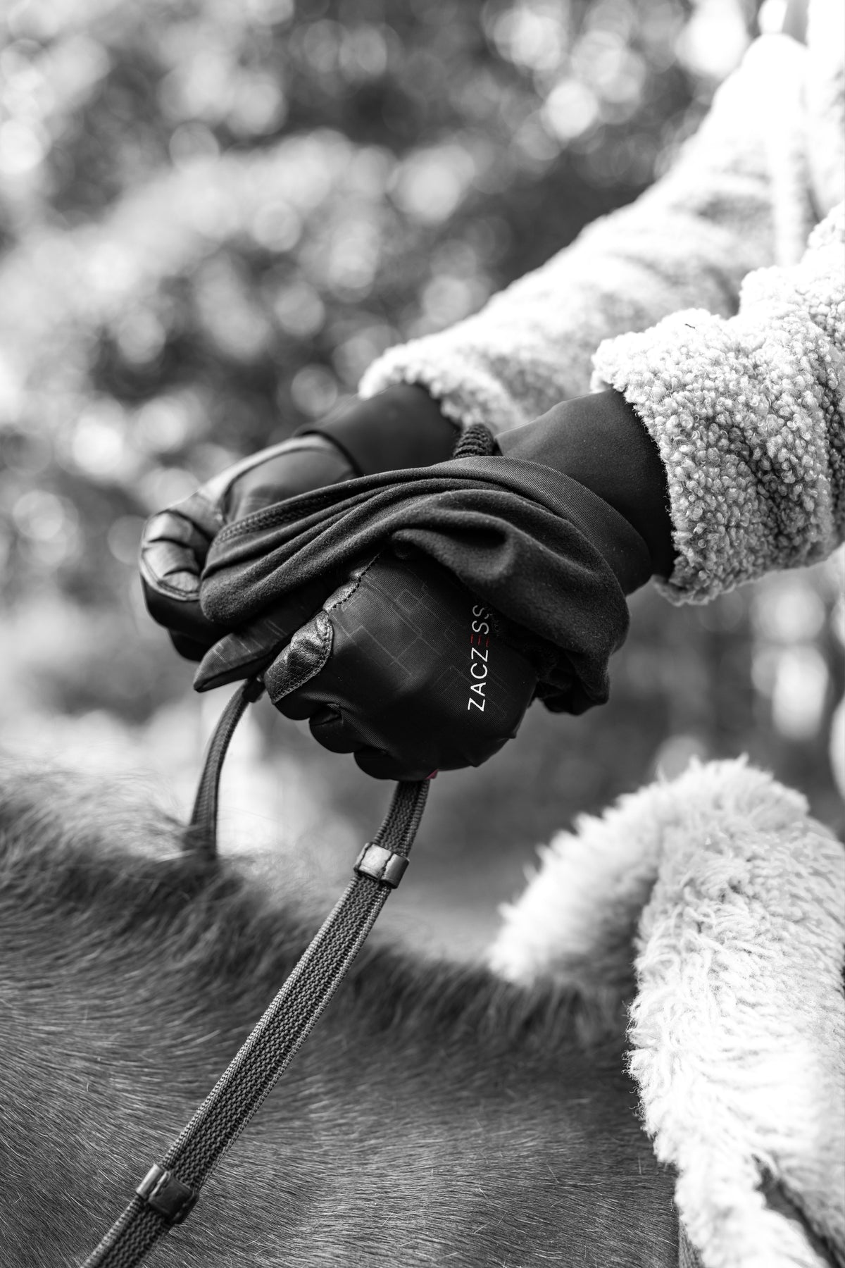 Winter Hand Cover