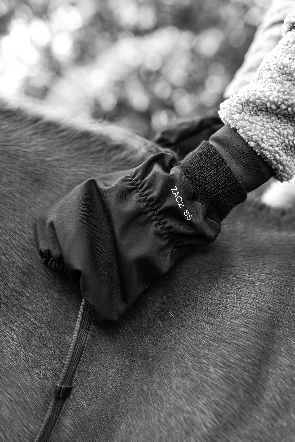 Winter Hand Cover