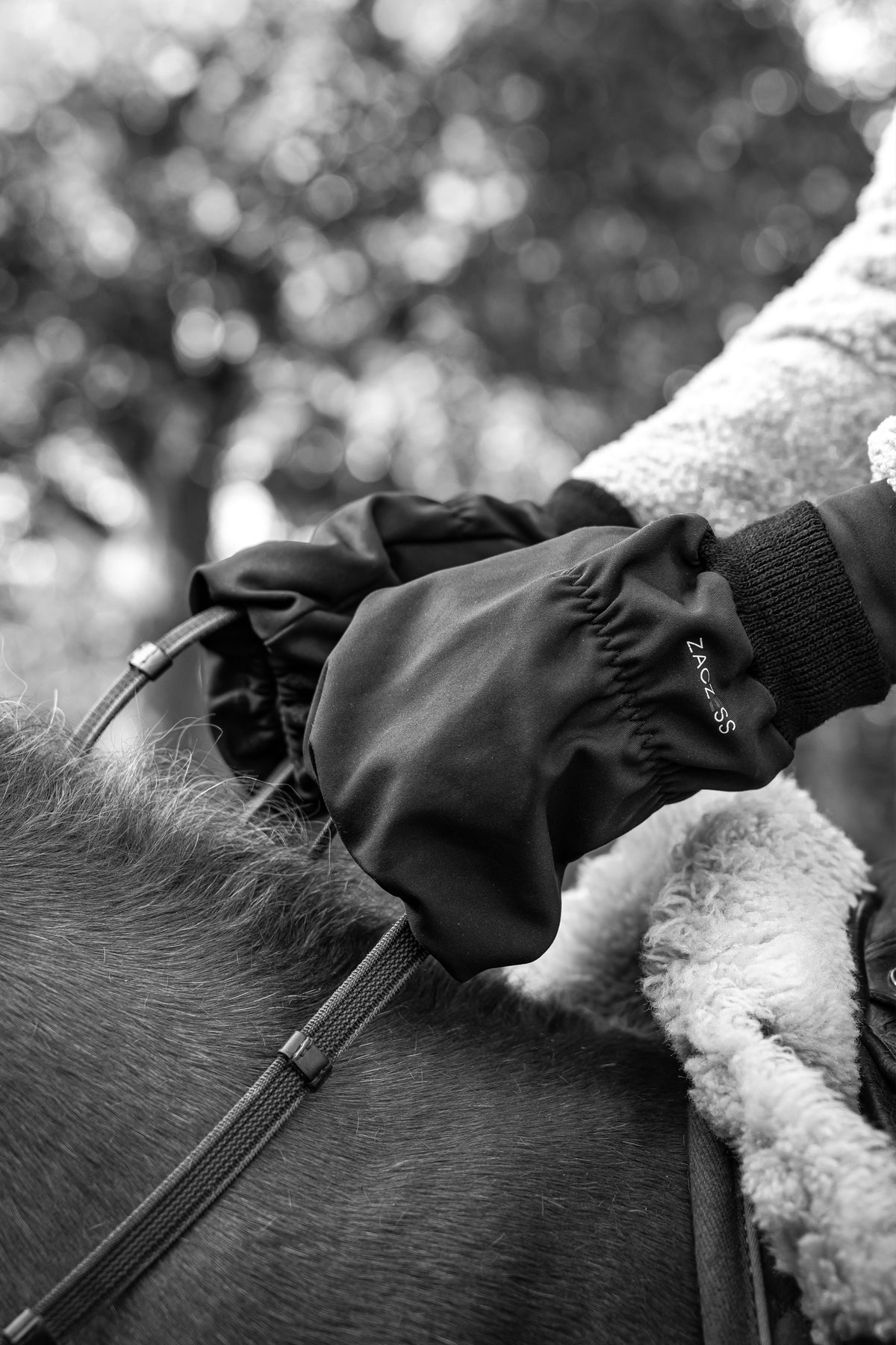 Winter Hand Cover